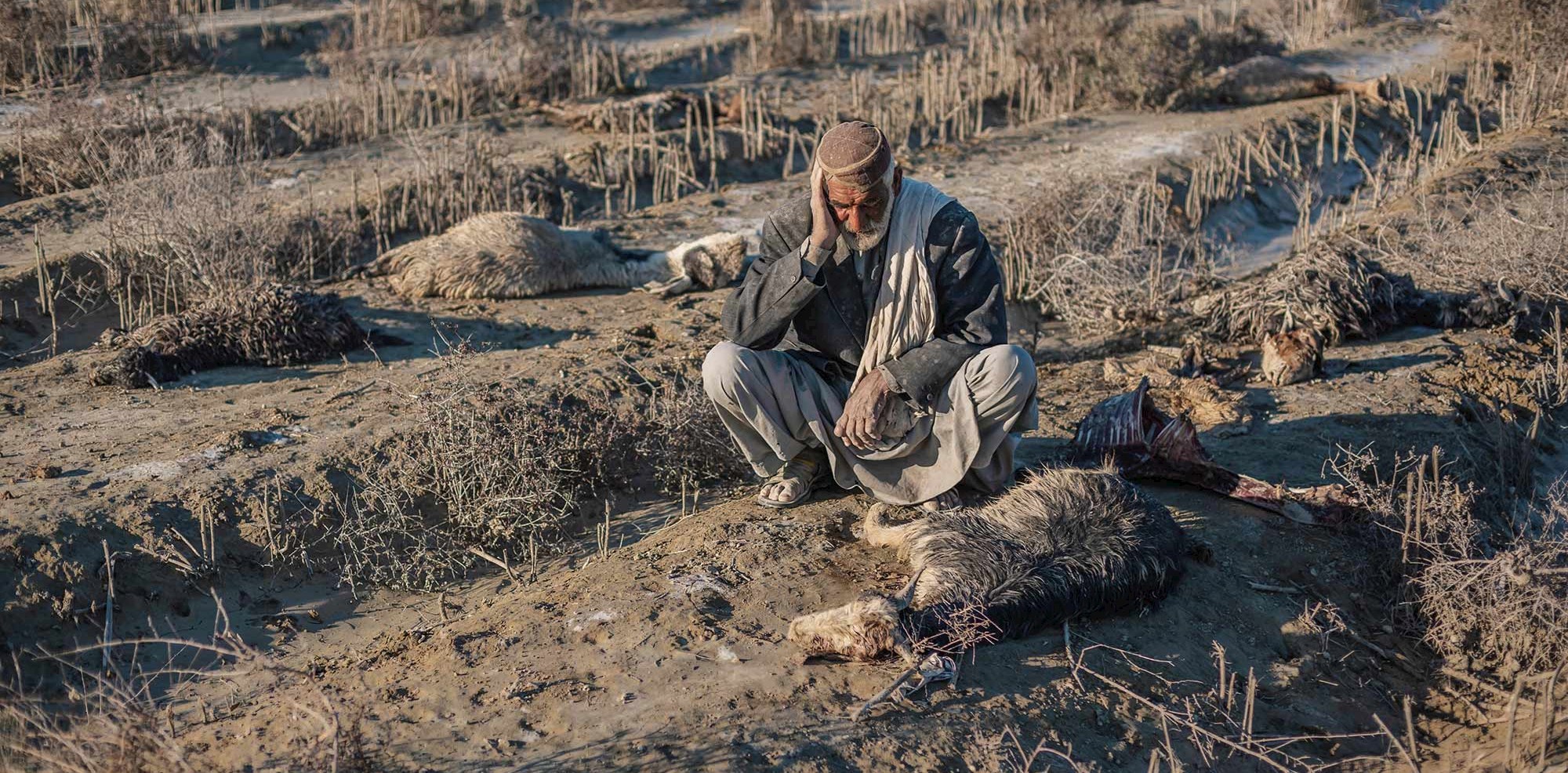 زندگی در مسیر سیل