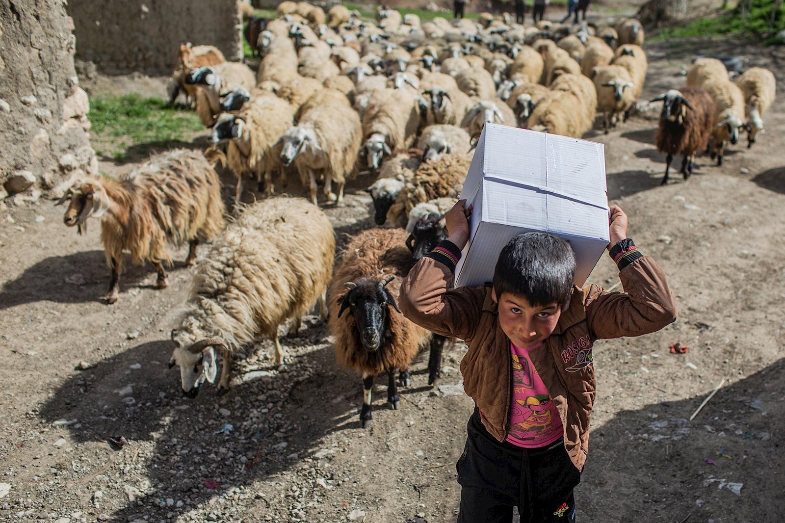 بچه‌های روستای خان بغلچی، بچه‌های کوهستان‌اند که سخت بزرگ می‌شوند اما محکم.