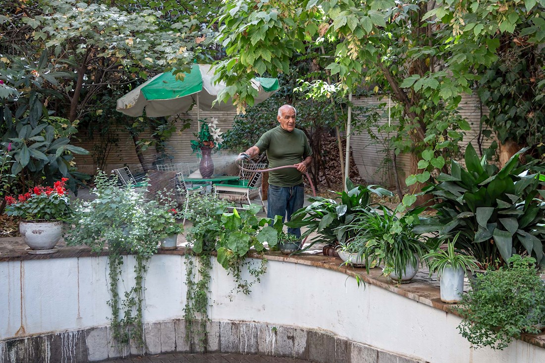 علی صراف جوان 76 ساله ، نصاب آسانسور است و هنوز مشغول به کار . او که در جوانی کشتی گیر هم بوده حالا گل و گیاهان همدم روزهایش هستند و با آنها طراوت و تازگی زندگی اش را حفظ می کند . 